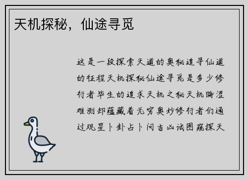 天机探秘，仙途寻觅