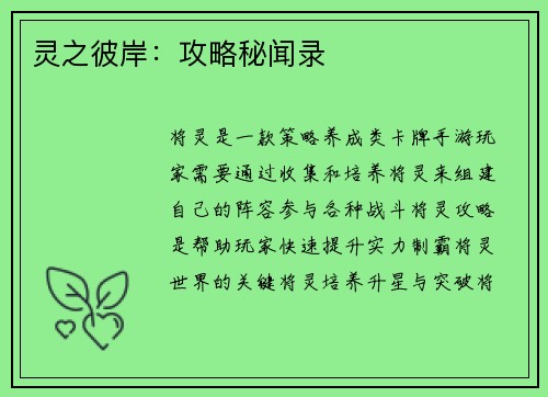 灵之彼岸：攻略秘闻录
